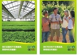 綠色食品農(nóng)場