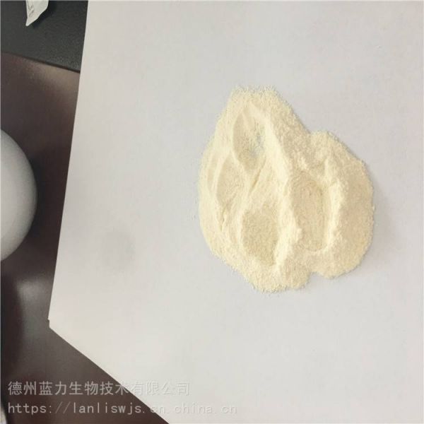 牛骨肽廠家發(fā)貨 價格優(yōu)惠 魚蛋白肽粉