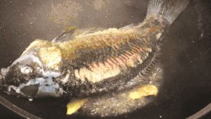 優(yōu)質蛋白 | 傻白鮮的魚湯？的做法 步驟1