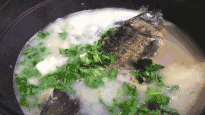 優(yōu)質蛋白 | 傻白鮮的魚湯？的做法 步驟4