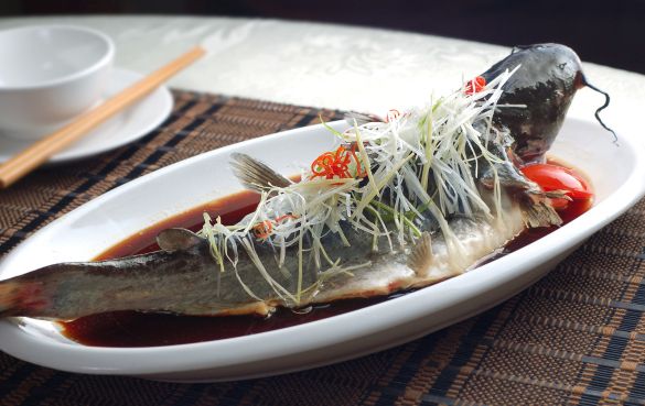 清蒸鱸魚