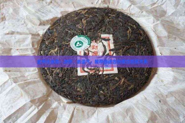 全方位食譜：減肥、去濕氣，推薦最適合的茶飲搭配方案
