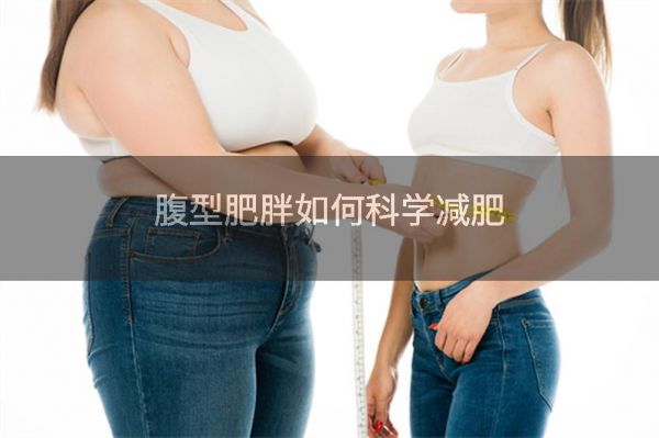 腹型肥胖如何科学减肥