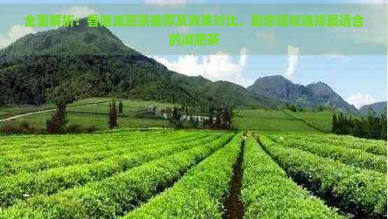 全面解析：減肥茶推薦及效果對比，助您輕松選擇最適合的減肥茶