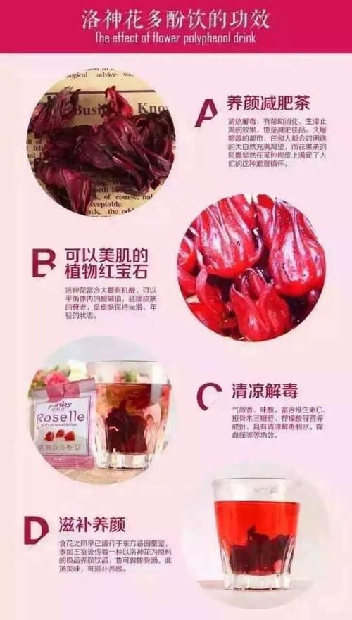 妃莉婭洛神花茶有那些功效？（洛妃婭怎么樣）-圖1