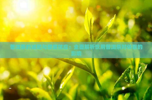 普洱茶的減肥與增重效應(yīng)：全面解析飲用普洱茶對(duì)體重的影響