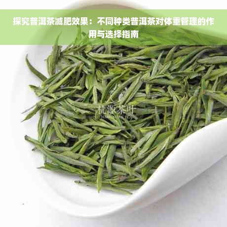 探究普洱茶减肥效果：不同种类普洱茶对体重管理的作用与选择指南