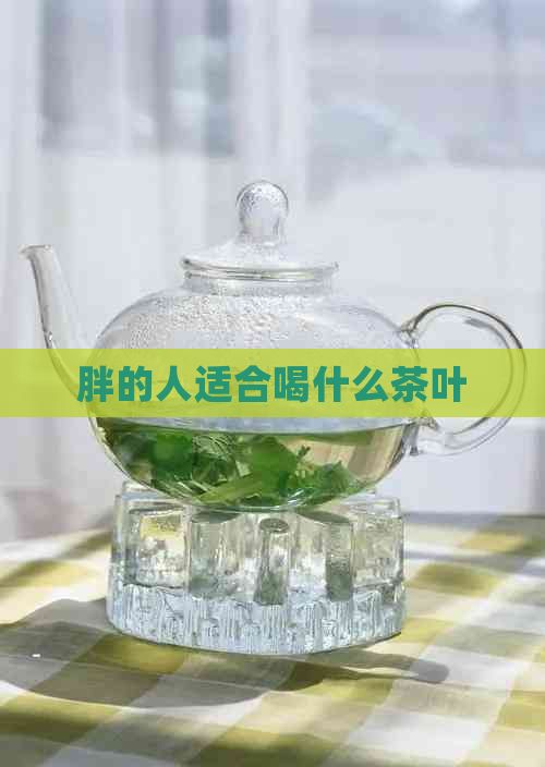胖的人適合喝什么茶葉