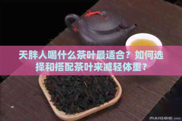 天胖人喝什么茶葉最適合？如何選擇和搭配茶葉來減輕體重？