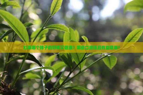 紅茶哪個(gè)牌子的好喝又健康？哪些口感佳且有益健康？