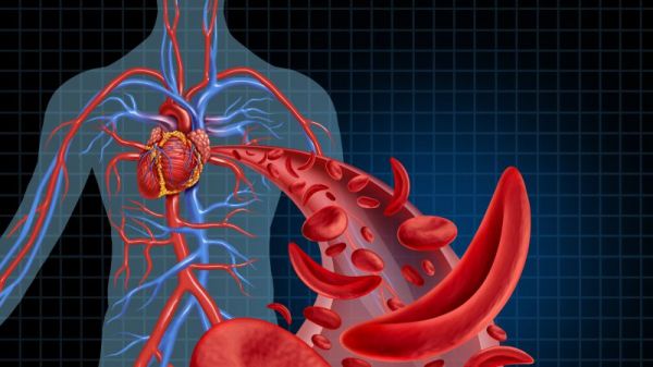 低血压心肌缺血严重吗