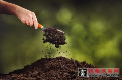解析生物刺激素?。êＴ逄崛∥铮?></p> <p> 近年來，針對海藻提取物的<strong>研發(fā)工作更傾向于從混合物向單一物質(zhì)發(fā)展</strong>，利用豐富的海藻多糖資源制備海藻低聚糖，開發(fā)低聚糖農(nóng)用制劑具有良好的前景。中國科學(xué)院大連化學(xué)物理研究所將海藻酸鈉寡糖應(yīng)用于小麥。結(jié)果表明，海藻酸鈉寡糖浸種能顯著提高小麥種子的發(fā)芽率。0.05%海藻酸鈉寡糖水溶液的效果最好，與清水對照相比，發(fā)芽指數(shù)和活力指數(shù)分別提高了12.96%和14.74%，不定根數(shù)提高了12.13%。還提高了小麥葉片中葉綠素、可溶性糖和可溶性蛋白的含量。 </p> <p> 海藻寡糖作為一種有效的生物刺激劑，中國科學(xué)院<strong>提高小麥對干旱脅迫的抗性</strong>.化學(xué)物理研究所研究了海藻寡糖在PEG-6000模擬干旱條件下對小麥生理生化指標(biāo)的影響。結(jié)果表明，PEG處理顯著抑制了小麥的生長，但海藻寡糖預(yù)處理小麥的幼苗、根長、鮮重和相對含水量分別比PEG單獨(dú)處理增加了18%、26%、43%和33%。海藻寡糖處理的小麥抗氧化酶活性明顯增強(qiáng)，丙二醛(MDA)含量降低37.9%，ABA信號通路中干旱相關(guān)基因表達(dá)顯著上調(diào)。 </p> <p> <strong>攜手道福種下幸福樹，關(guān)注我，下期帶你了解更多農(nóng)業(yè)知識~</strong> </p><p style=