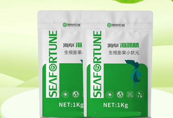 海藻精的作用與使用方法