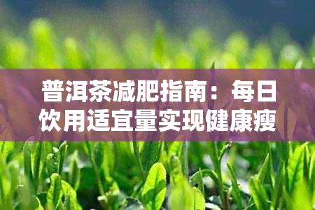 普洱茶減肥指南：每日飲用適宜量實現(xiàn)健康瘦身