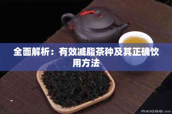 全面解析：有效減脂茶種及其正確飲用方法
