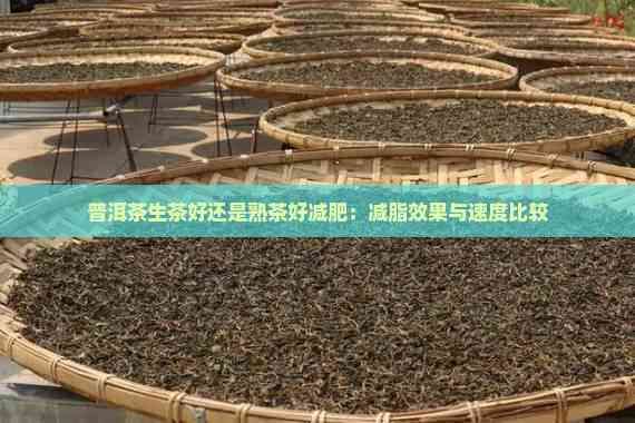 普洱茶生茶好還是熟茶好減肥：減脂效果與速度比較