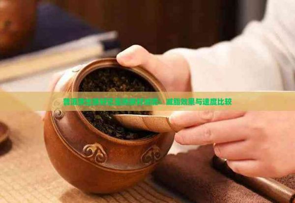 普洱茶生茶好還是熟茶好減肥：減脂效果與速度比較