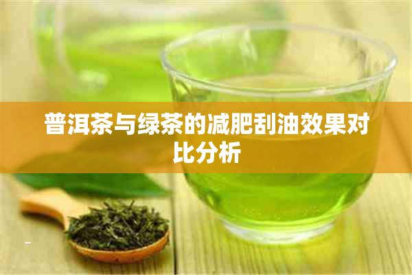 普洱茶与绿茶的减肥刮油效果对比分析
