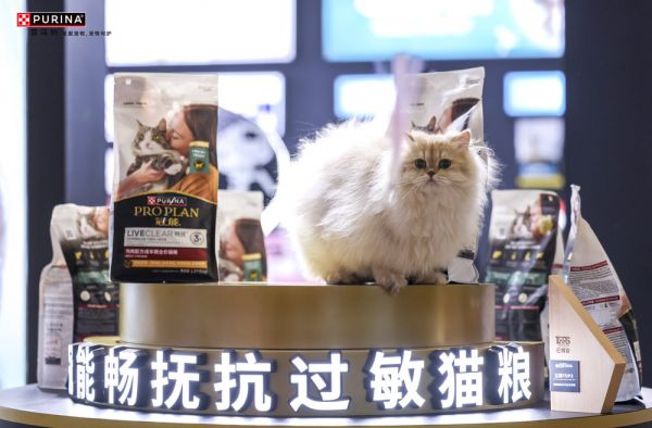 貓的照片上寫著字 AI 生成的內(nèi)容可能不正確。