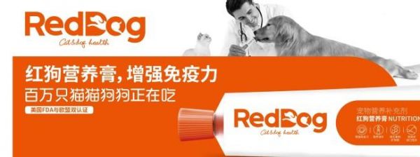 關(guān)注寵物營養(yǎng)需求，細(xì)致呵護(hù)寵物健康