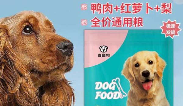 如果狗不吃谷物糧會有什么影響？如何調(diào)整它們的飲食？
