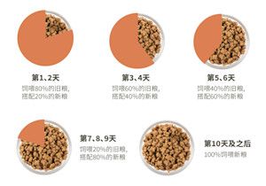 10天的時(shí)間為愛(ài)寵循序漸進(jìn)的換糧