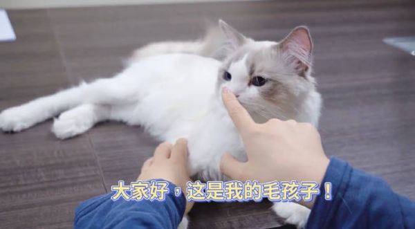 寵物健康，從寵糧原料開始！