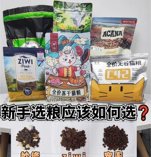 斷奶貓的替代食物有哪些？如何選擇合適的貓糧？