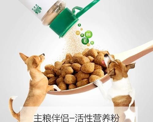 寵物健康必備——寶路狗糧和耐威克（選擇寵物食品，從健康開始；寶路狗糧和耐威克的特點(diǎn)和優(yōu)勢(shì)。）