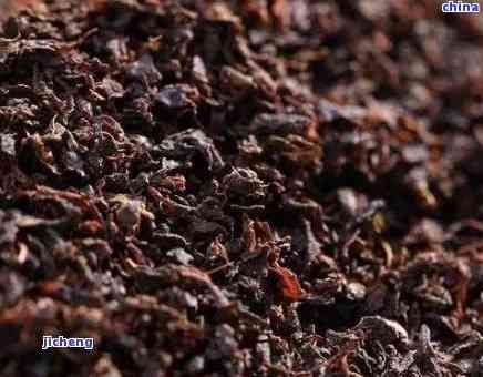 普洱茶茶渣的潛在健益處與飲用 ：一篇全面指南