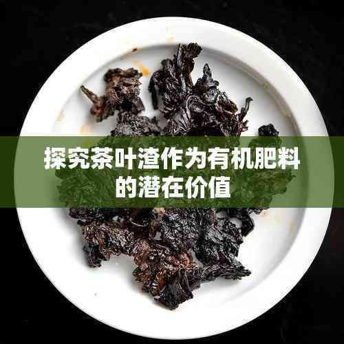 探究茶葉渣作為有機(jī)肥料的潛在價值