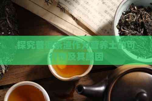 探究普洱茶渣作为营养土的可行性及其原因