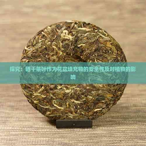 探究：曬干茶葉作為花盆填充物的安全性及對植物的影響