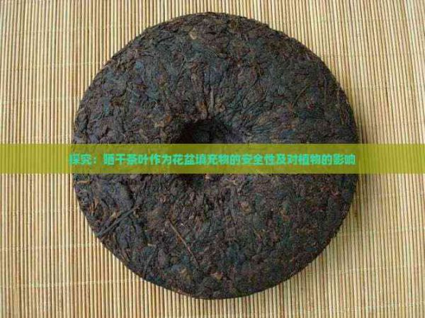 探究：曬干茶葉作為花盆填充物的安全性及對植物的影響