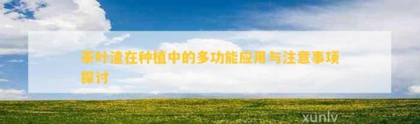 茶葉渣在種植中的多功能應(yīng)用與注意事項(xiàng)探討
