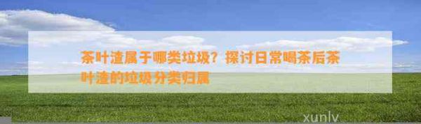 茶叶渣属于哪类垃圾？探讨日常喝茶后茶叶渣的垃圾分类归属