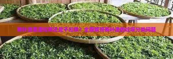 茶葉渣是濕垃圾還是干垃圾？全面解答茶葉渣的垃圾分類問題