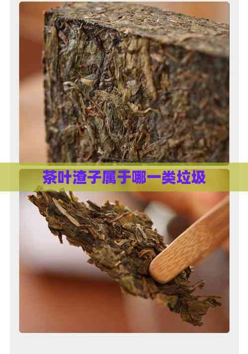 茶葉渣子屬于哪一類垃圾