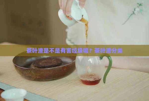 茶葉渣是不是有害垃圾呢？茶葉渣分類