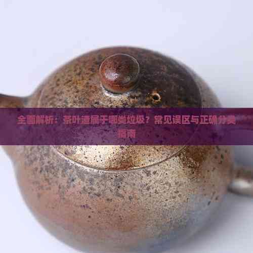 全面解析：茶葉渣屬于哪類垃圾？常見誤區(qū)與正確分類指南