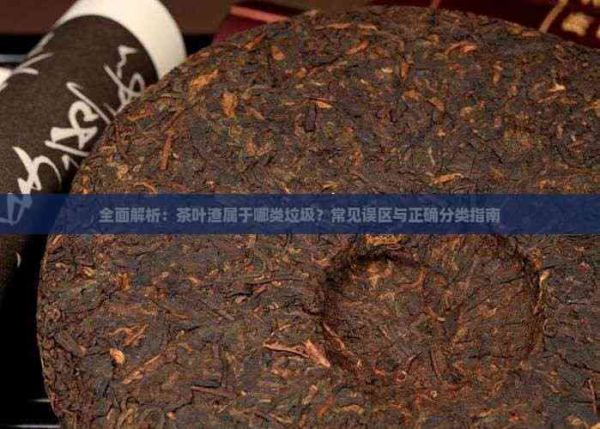 全面解析：茶葉渣屬于哪類垃圾？常見誤區(qū)與正確分類指南