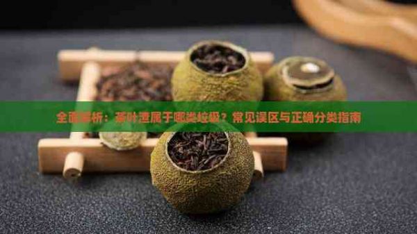 全面解析：茶葉渣屬于哪類垃圾？常見誤區(qū)與正確分類指南