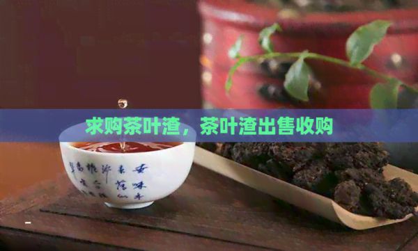 求购茶叶渣，茶叶渣出售收购