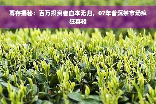騫存揭秘：百萬投資者血本無歸，07年普洱茶市場(chǎng)瘋狂真相