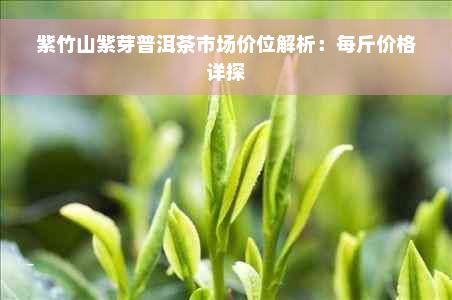 紫竹山紫芽普洱茶市场价位解析：每斤价格详探