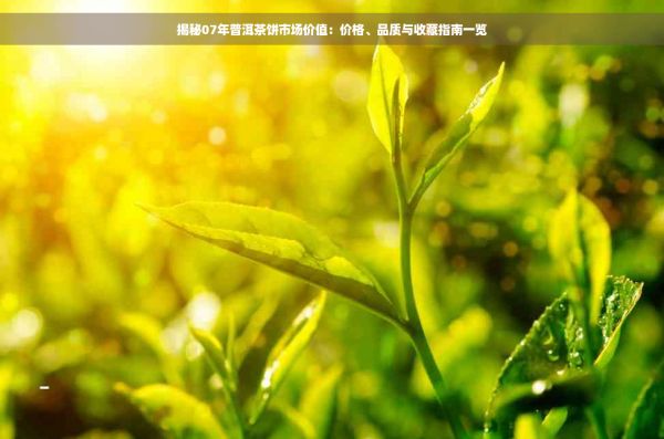 揭秘07年普洱茶餅市場價值：價格、品質(zhì)與收藏指南一覽