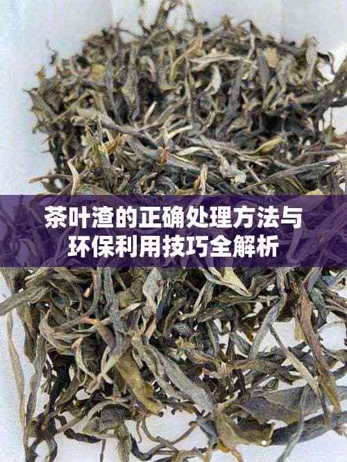 茶叶渣的正确处理方法与环保利用技巧全解析