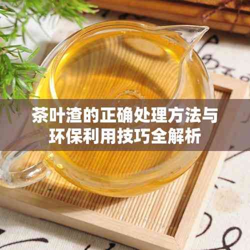 茶叶渣的正确处理方法与环保利用技巧全解析