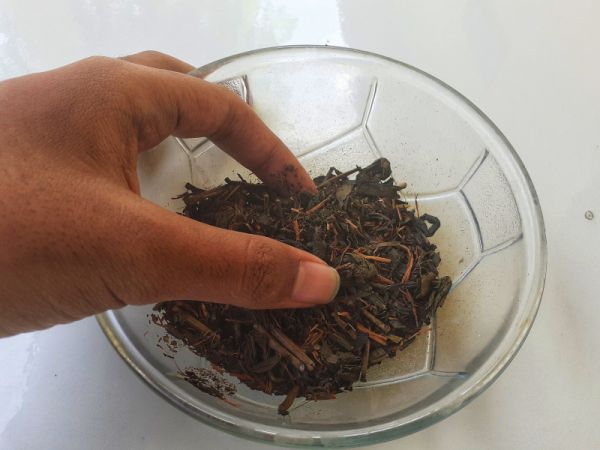 茶的尾水有害健康吗？如何正确处理茶叶渣？