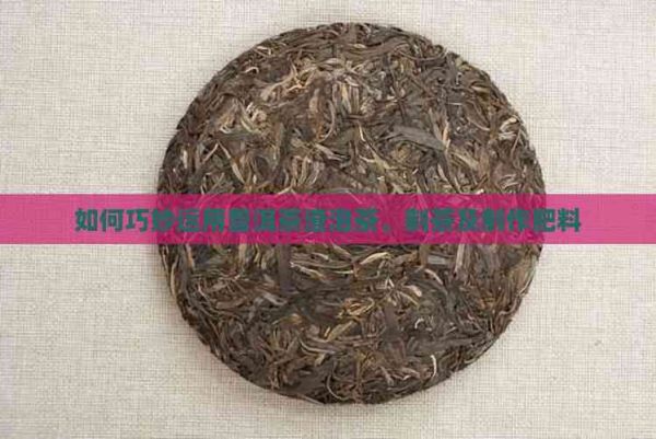 如何巧妙運用普洱茶渣泡茶、制茶及制作肥料